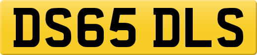 DS65DLS